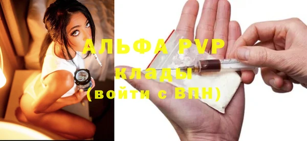 прущие грибы Струнино