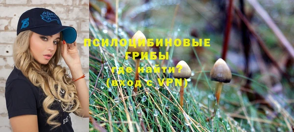прущие грибы Струнино