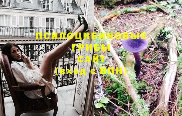 a pvp Сясьстрой