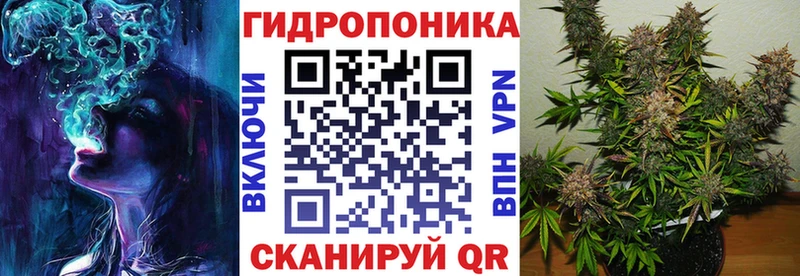 Купить где  Чехов  Конопля план 